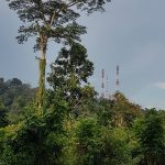 محمية بوكيت تيماه الطبيعية ٤