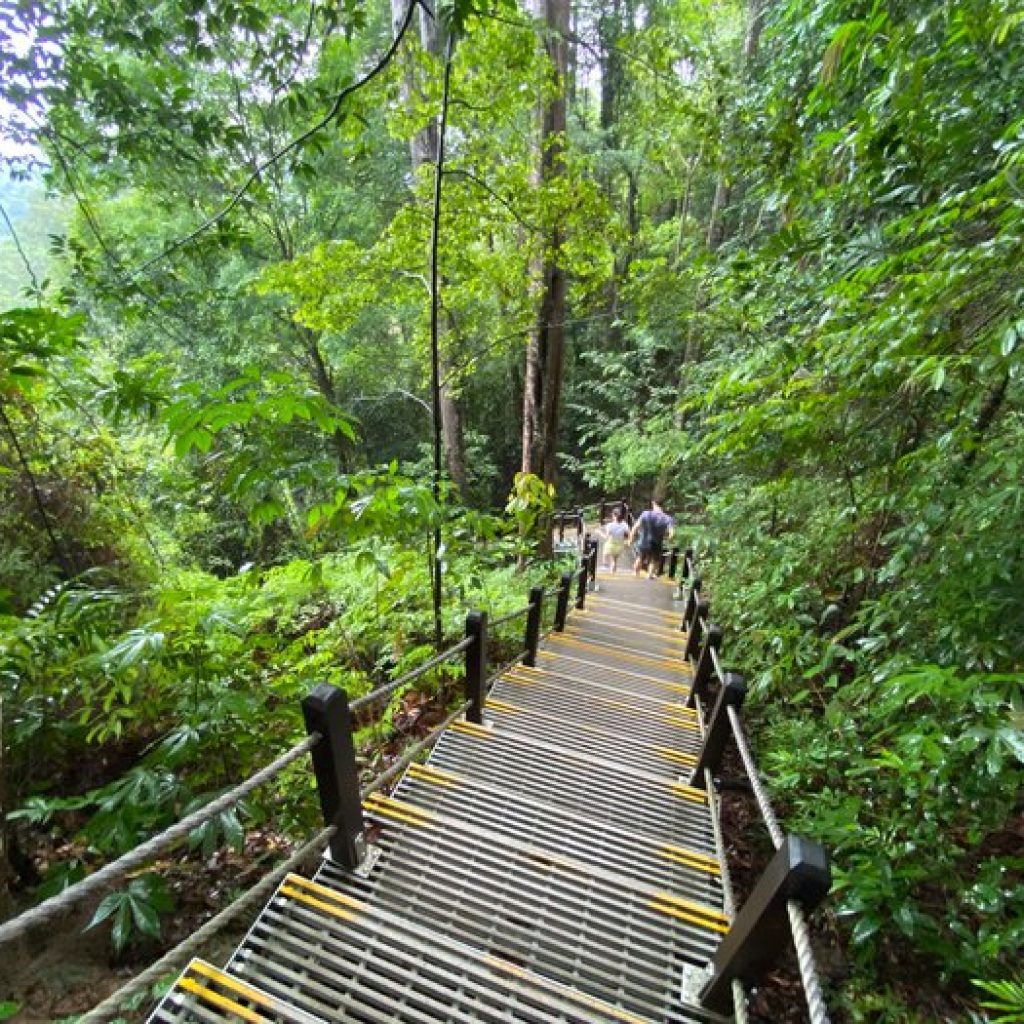 محمية بوكيت تيماه الطبيعية