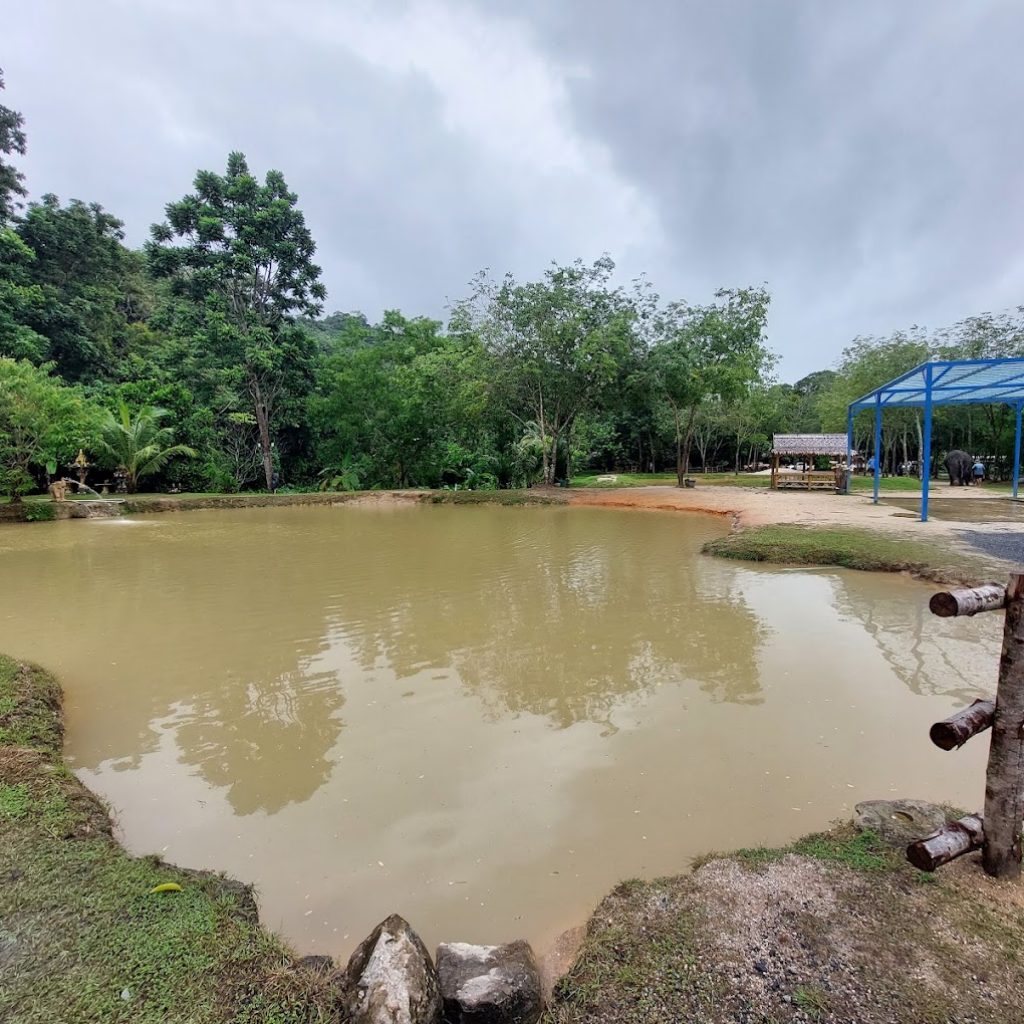 محمية جرين اليفانت ٢