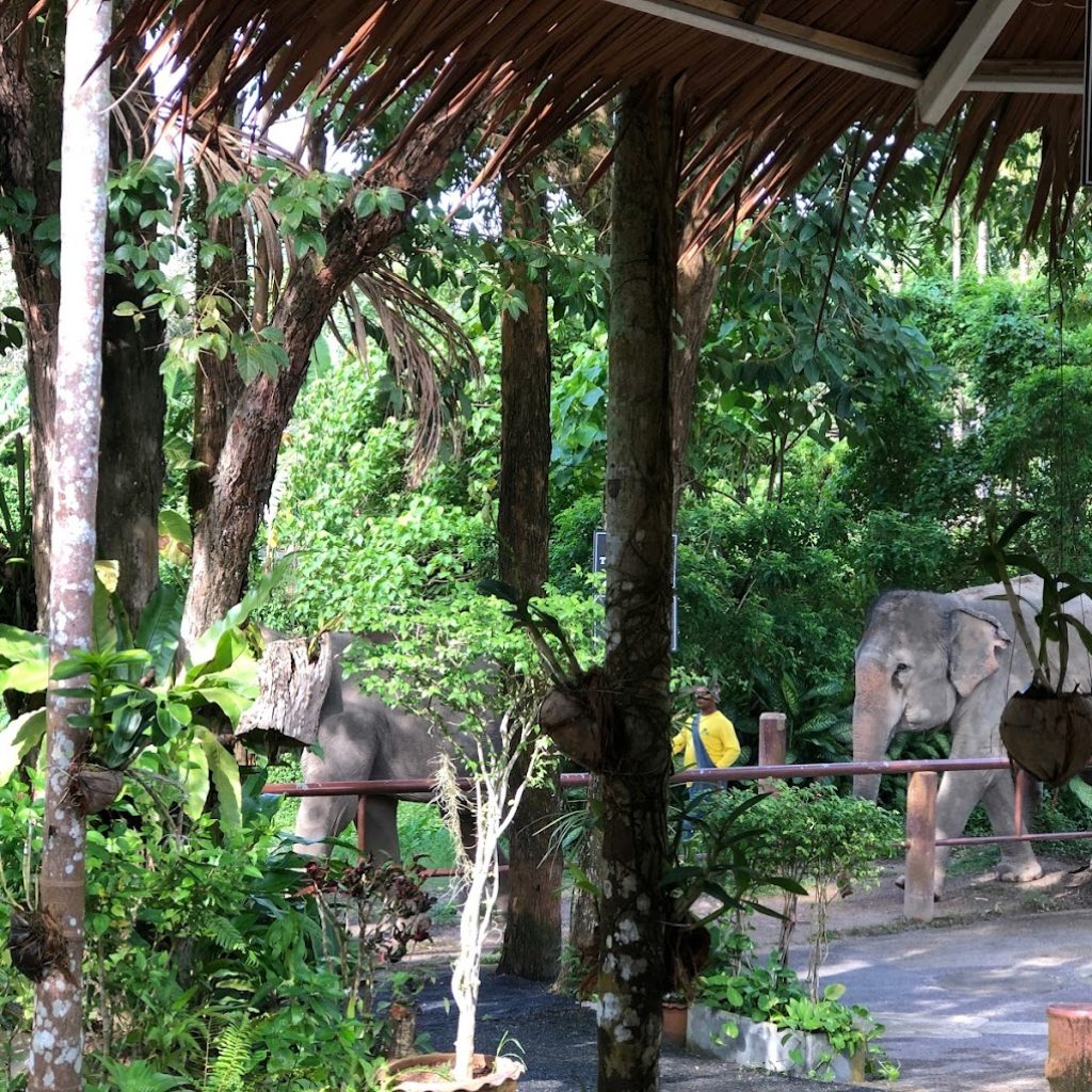 أهم حدائق الحيوان في جزيرة فوكيت