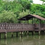 محمية سونجي بولوه للأراضي الرطبة ٤