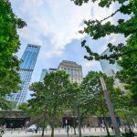 مركز التجارة العالمي6