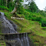 مصاطب أرز تيجالالانج (3)