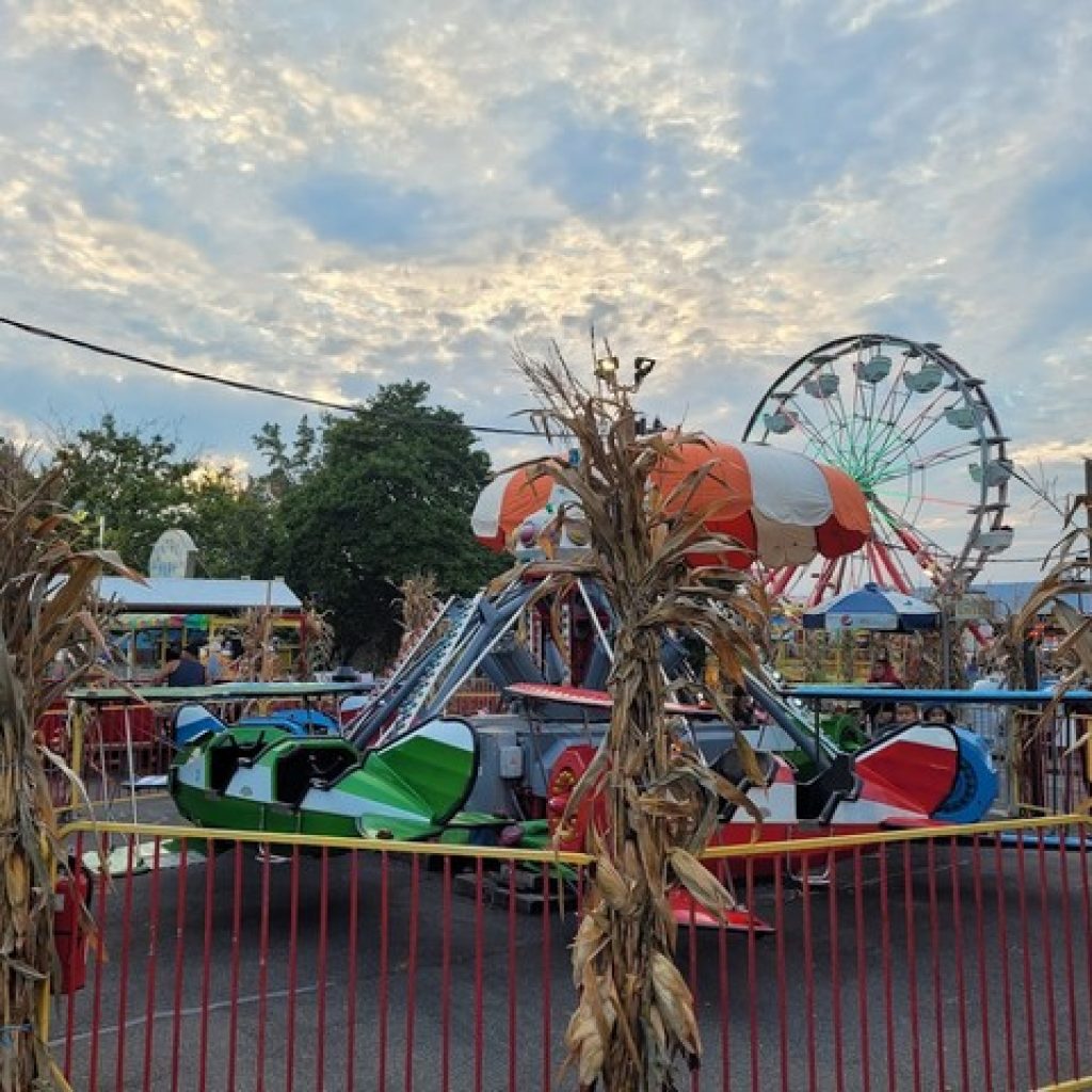 ملاهي فانتاسي فورست 3