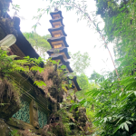 ممشى كامبوهان ريدج والك (2)