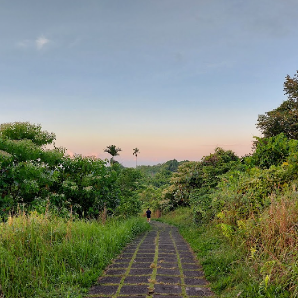 ممشى كامبوهان ريدج والك (3)