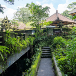 ممشى كامبوهان ريدج والك (4)