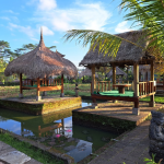 ممشى كامبوهان ريدج والك (6)