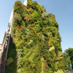 منتدى كاييسا 3