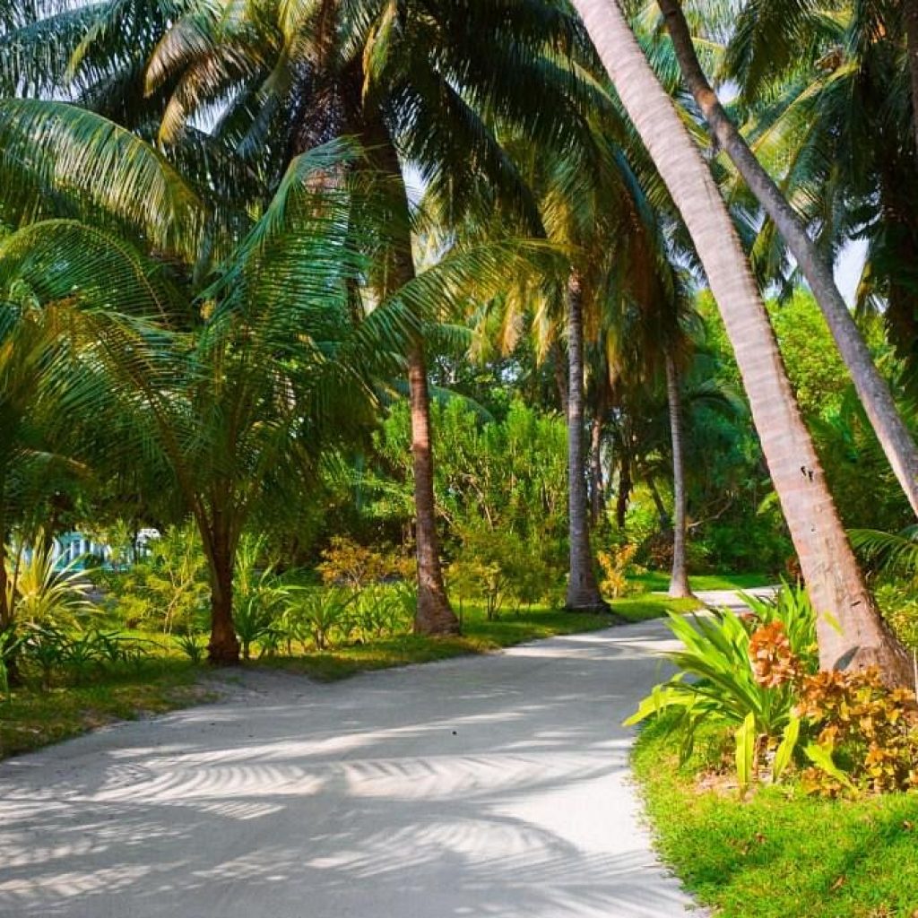 حديقة السلطان