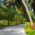 حديقة السلطان