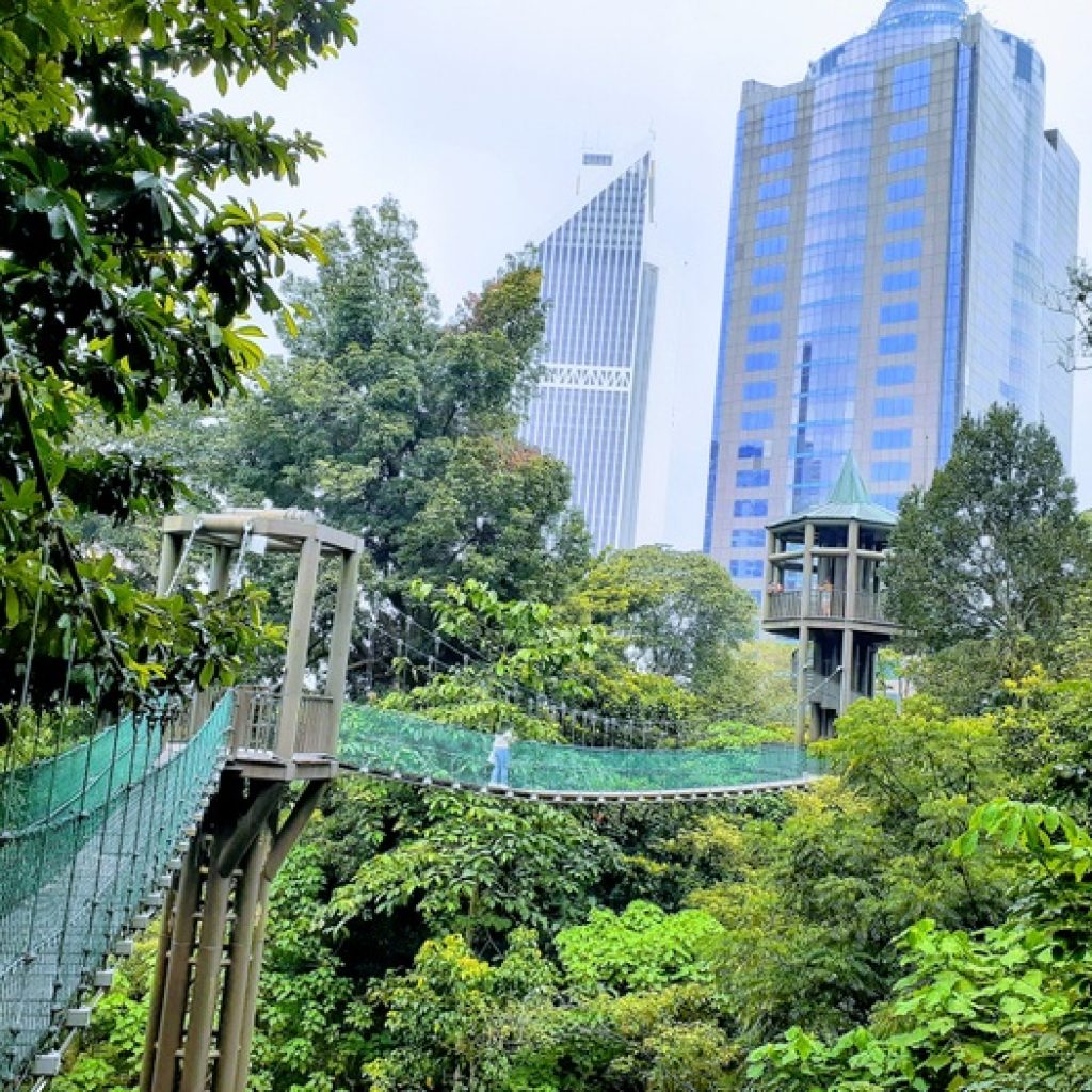 منتزه وغابة ايكو كوالالمبور