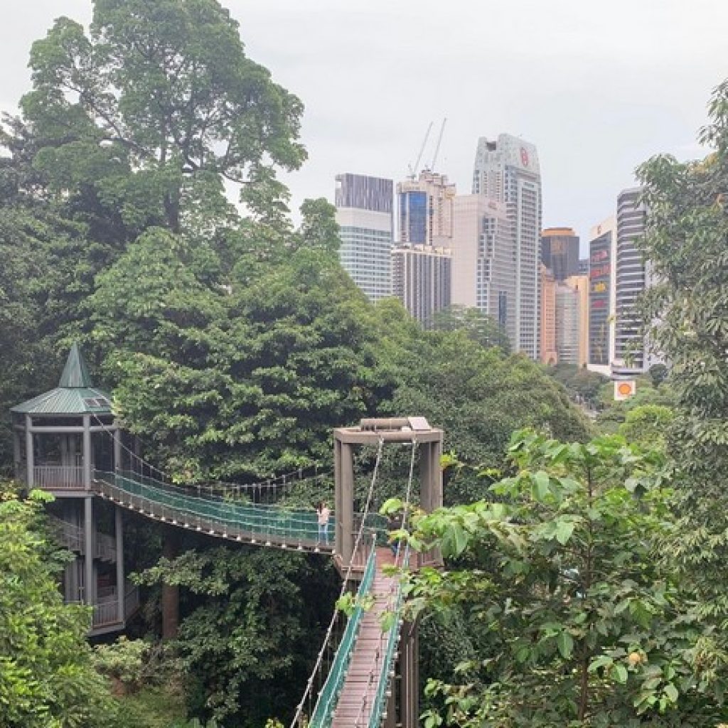 منتزه وغابة ايكو كوالالمبور