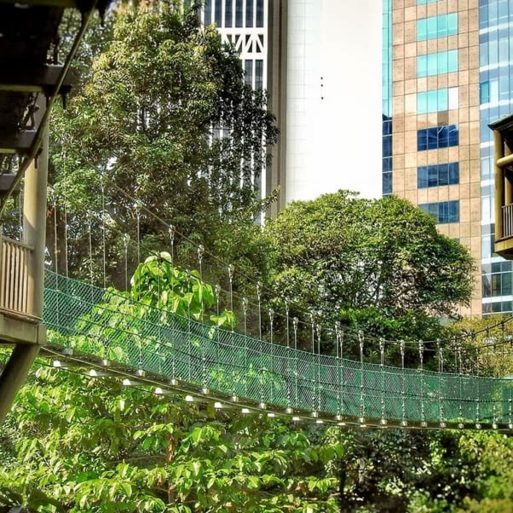 منتزه وغابة ايكو كوالالمبور