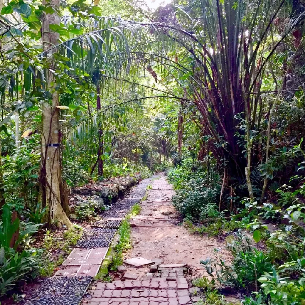 منتزه وغابة ايكو كوالالمبور