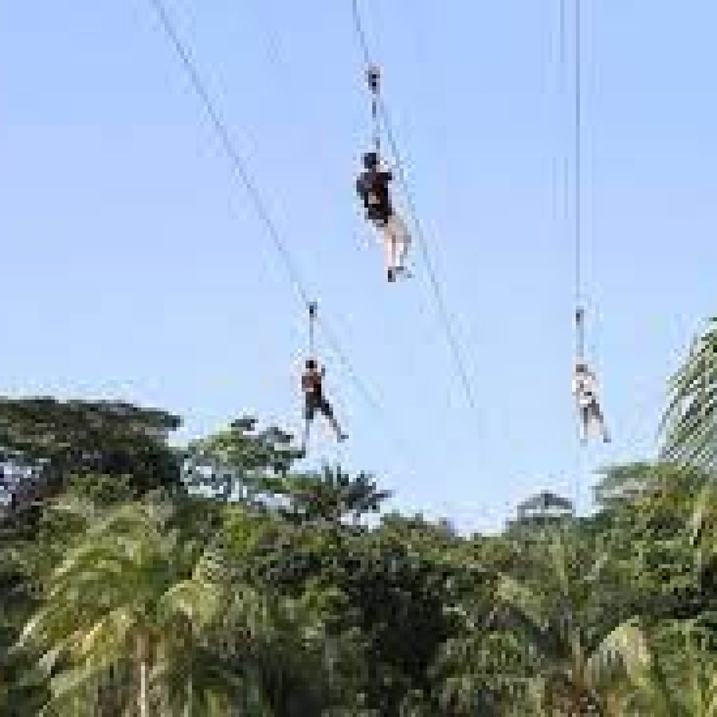 ميجا أدفنتشر ٦