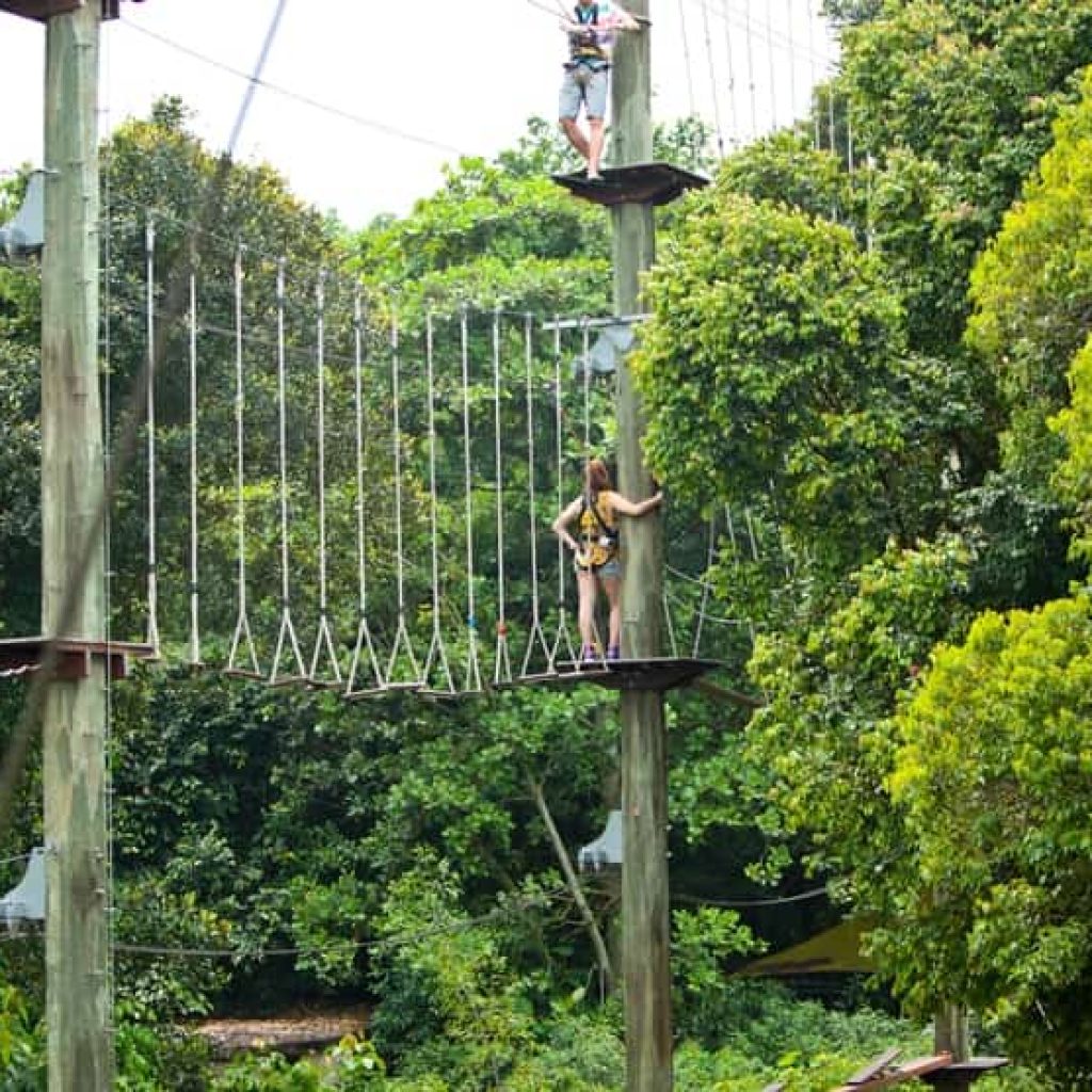 ميجا أدفنتشر