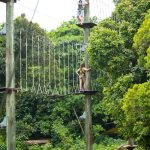 ميجا أدفنتشر ٥