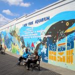 نيويورك أكواريوم ٥