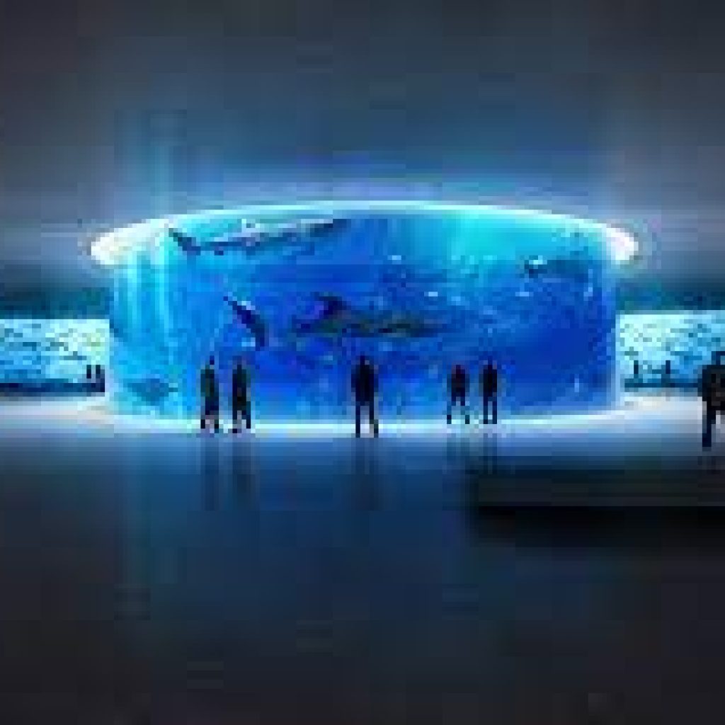 نيويورك أكواريوم