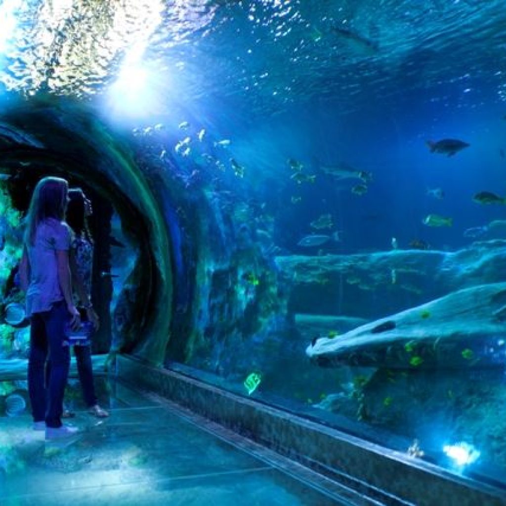 نيويورك أكواريوم ١