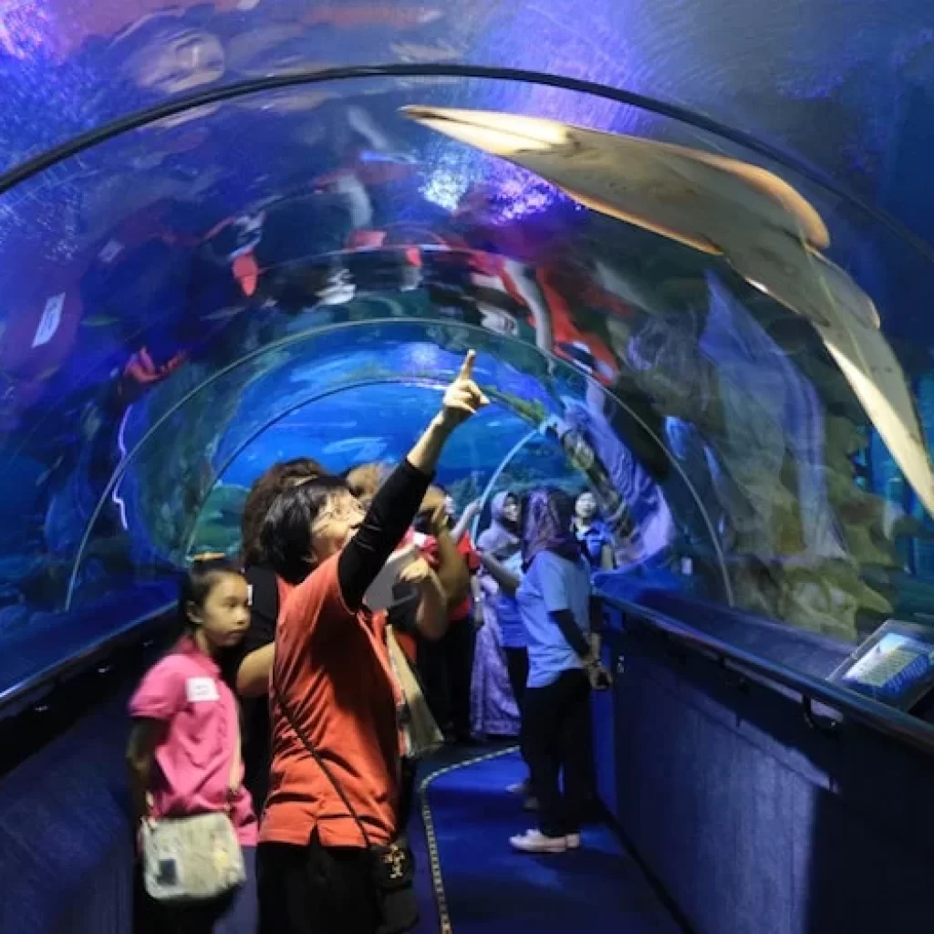 نيويورك أكواريوم ٢