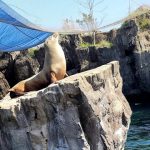 نيويورك أكواريوم ٣