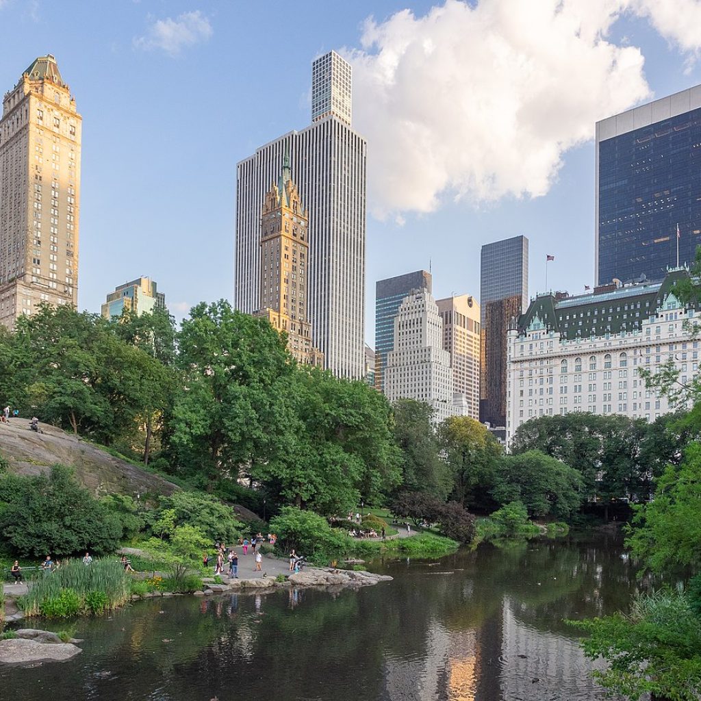 واشنطن سكوير بارك ٥