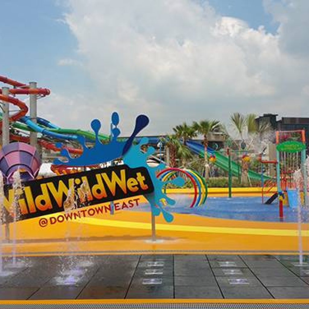 وايلد وايلد ويت ٤