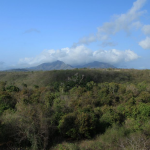 ويست بالي الوطنية (1)