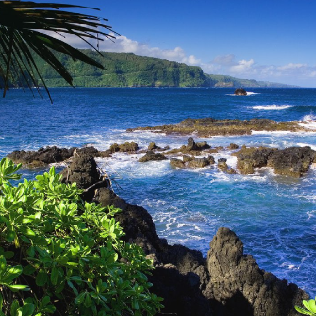 ويست بالي الوطنية (4)