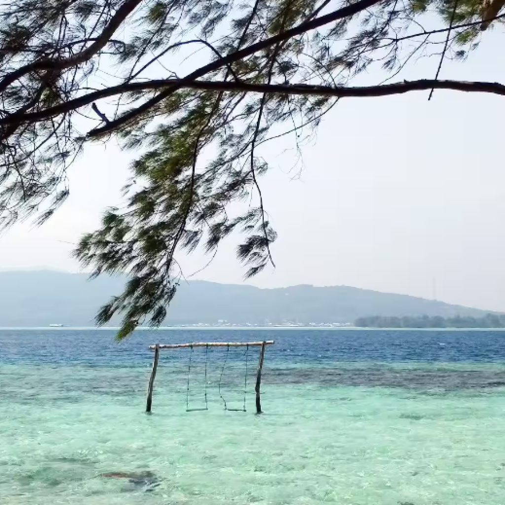 ويست بالي الوطنية (6)