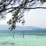 ويست بالي الوطنية (6)